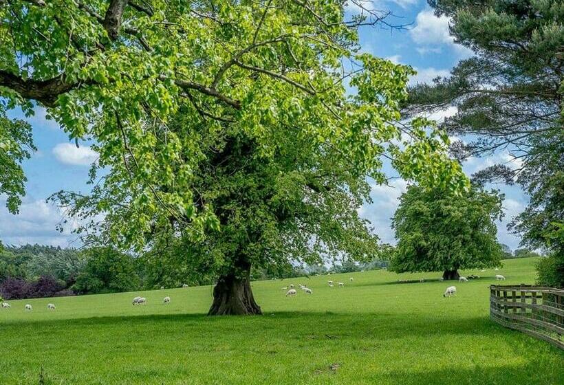 Resort Ribblesdale Lodges