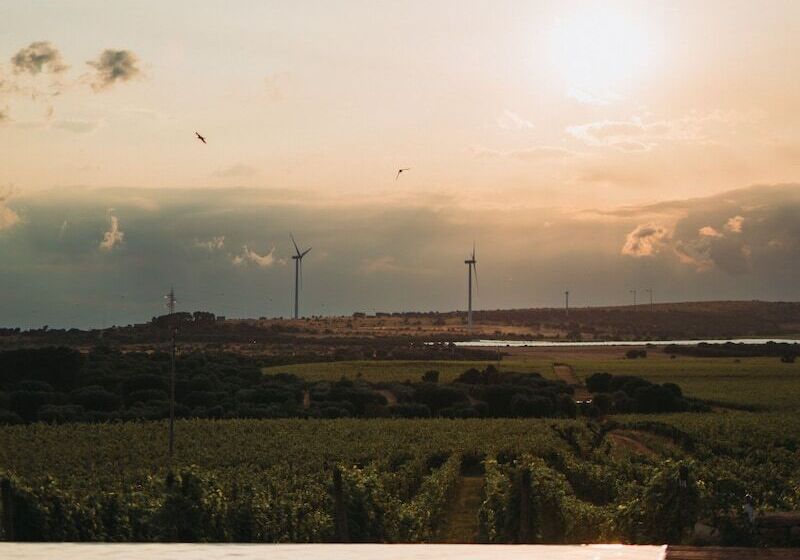 Bed and Breakfast Methe