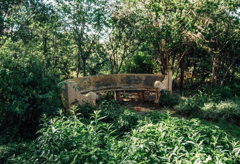 ホテル Farm Stay At Rosemary Cottage On Haldon Estate