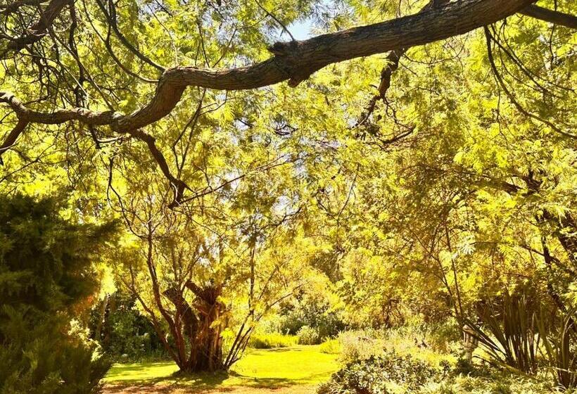 ホテル Farm Stay At Rosemary Cottage On Haldon Estate