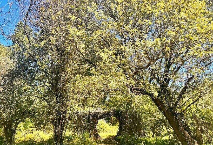 ホテル Farm Stay At Rosemary Cottage On Haldon Estate