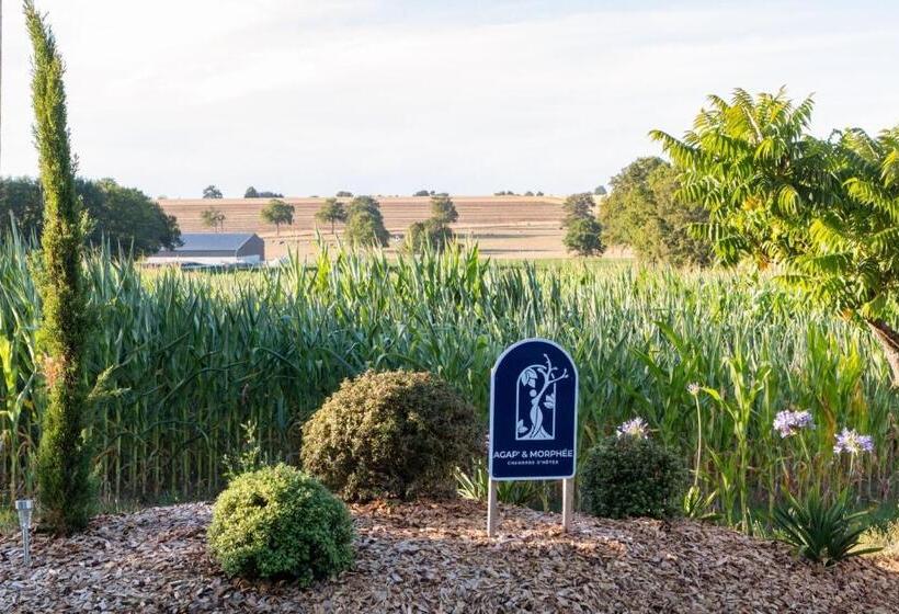بنسيون Chambres D Hôtes Avec Jacuzzi