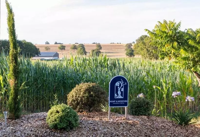 ペンション Chambres D Hôtes Avec Jacuzzi