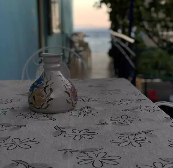 پانسیون Dina House