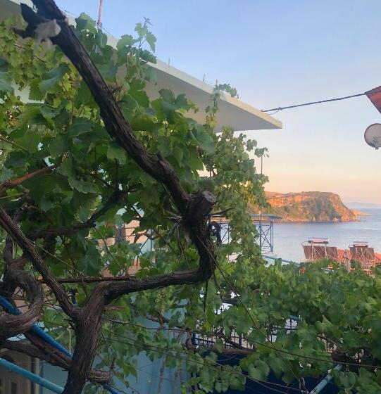 پانسیون Dina House