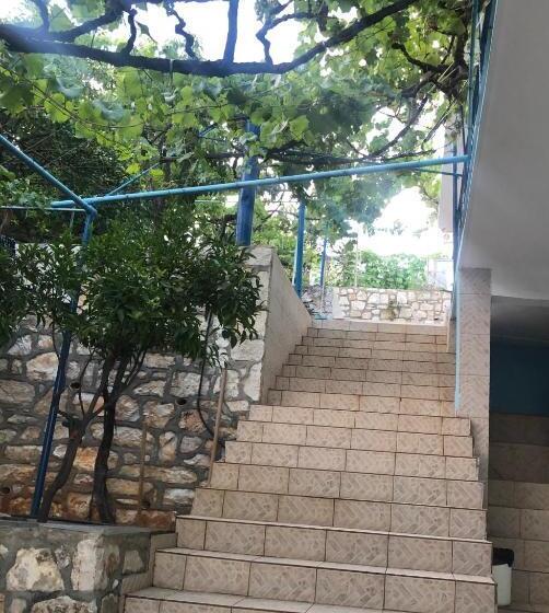 پانسیون Dina House