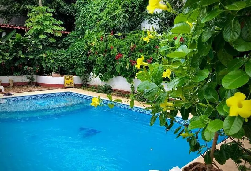 Majatalo Huitzilin Hostal