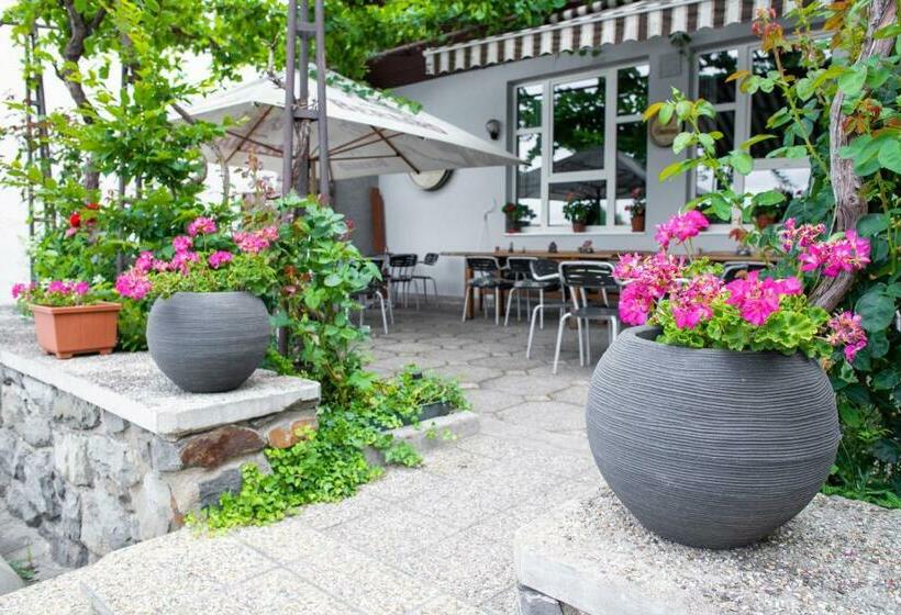 膳宿费 Penzion Janota Perná