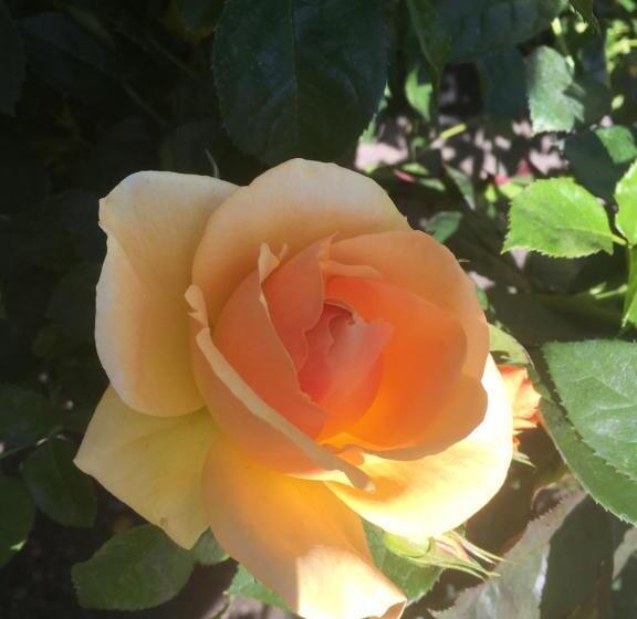 צימר Le Havre De Paix