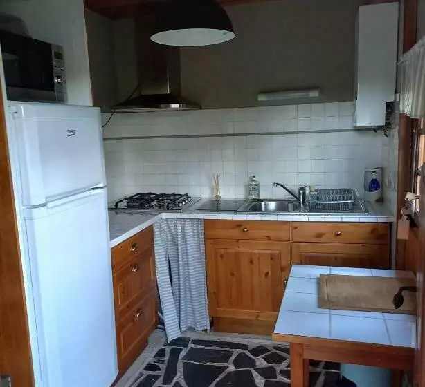 Ma Cabane Au Bord Du Lac