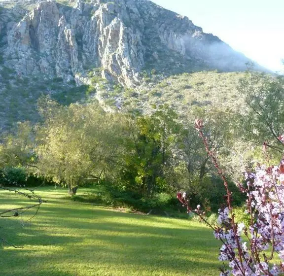 Porcupine Hills Olive And Guest Farm