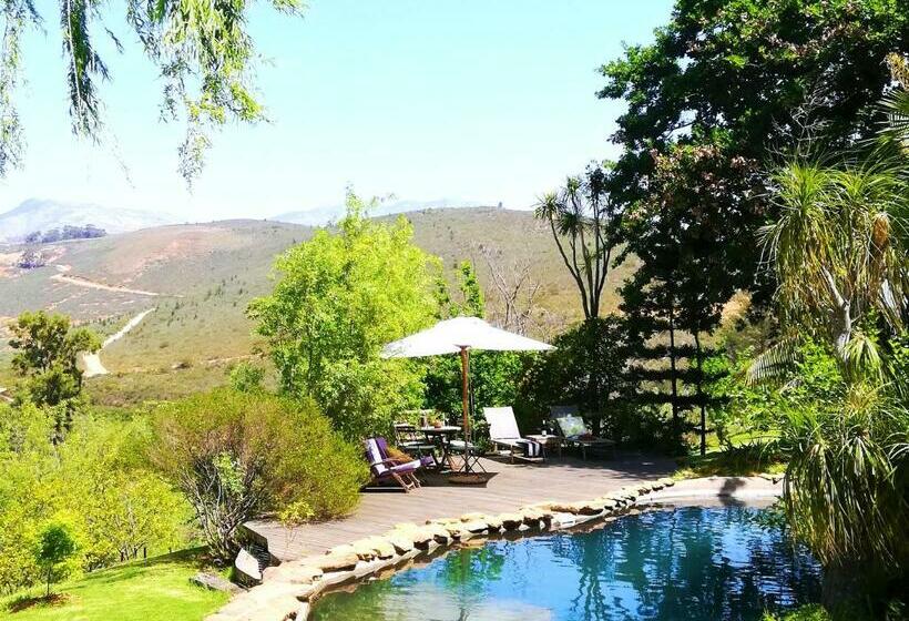 Porcupine Hills Olive And Guest Farm