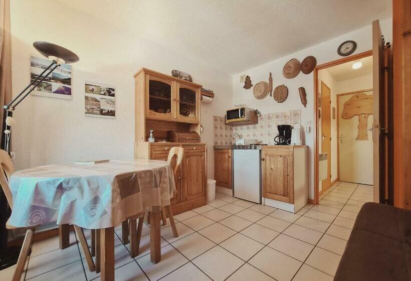 Studio Samoëns, 1 Pièce, 4 Personnes   Fr 1 624 115