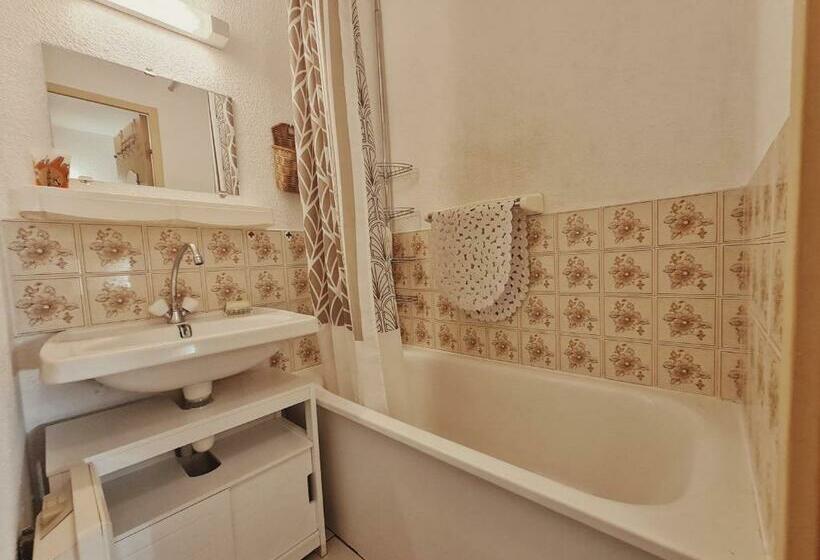 Studio Samoëns, 1 Pièce, 4 Personnes   Fr 1 624 115