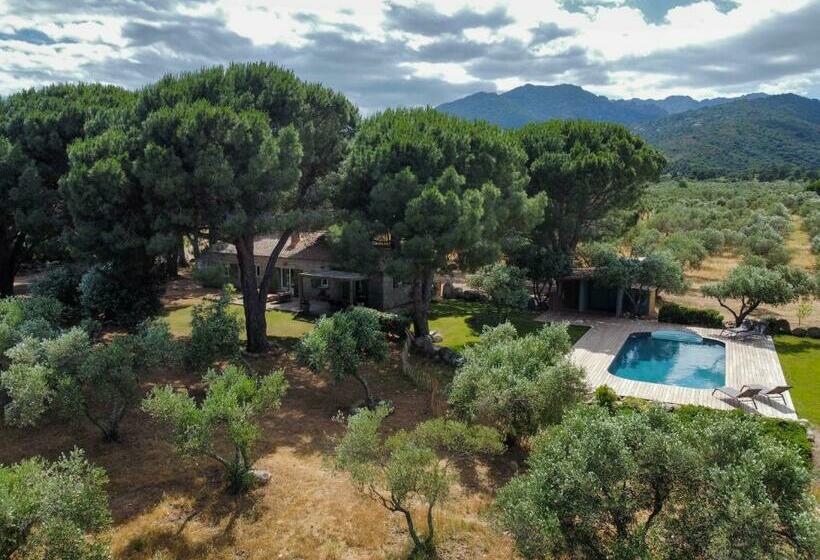 Domaine D Arena Casa Zinzala