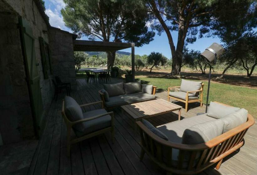 Domaine D Arena Casa Zinzala