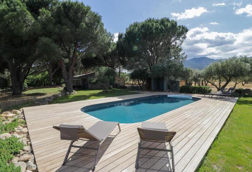 Domaine D Arena Casa Zinzala