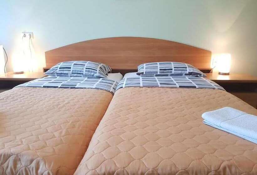 پانسیون Room In Guest Room   Valensija   Standard Twin Room