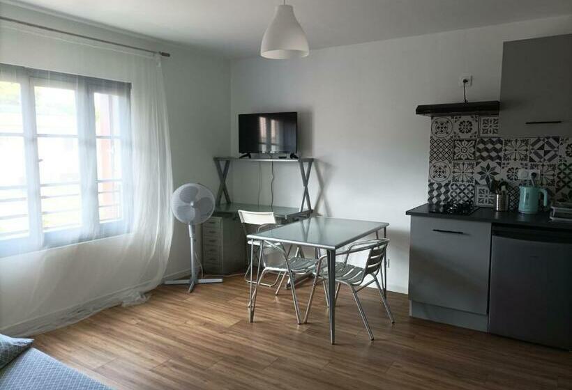 Studio Vue Château 100m étang, Plage Et Halles