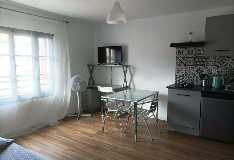 Studio Vue Château 100m étang, Plage Et Halles