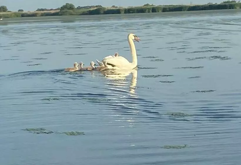 ペンション Casa Munteanu