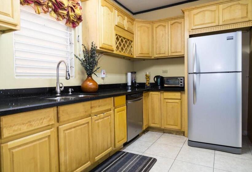 پانسیون Secluded Retreat In White River Ocho Rios