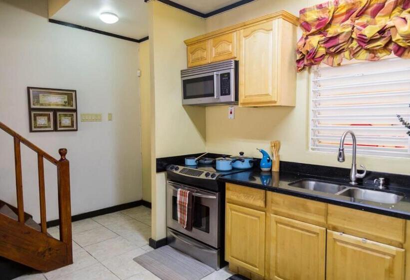 پانسیون Secluded Retreat In White River Ocho Rios