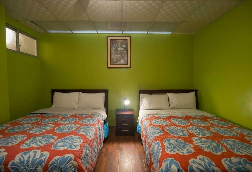 Pension Hostal Downtown