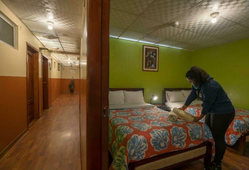 Pension Hostal Downtown