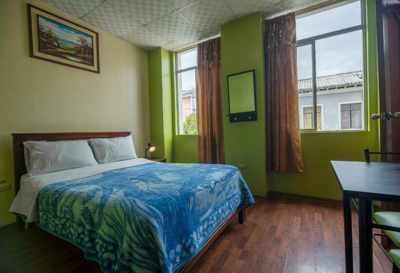 Pension Hostal Downtown