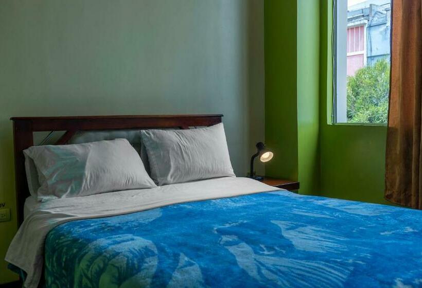 Pension Hostal Downtown