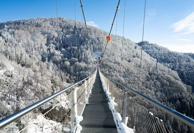 Black Forest Hotel Todtnau