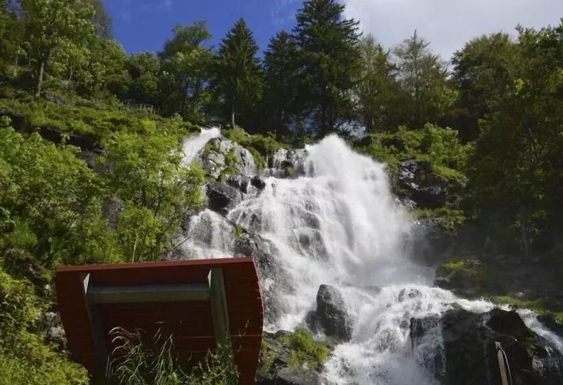 Black Forest Hotel Todtnau