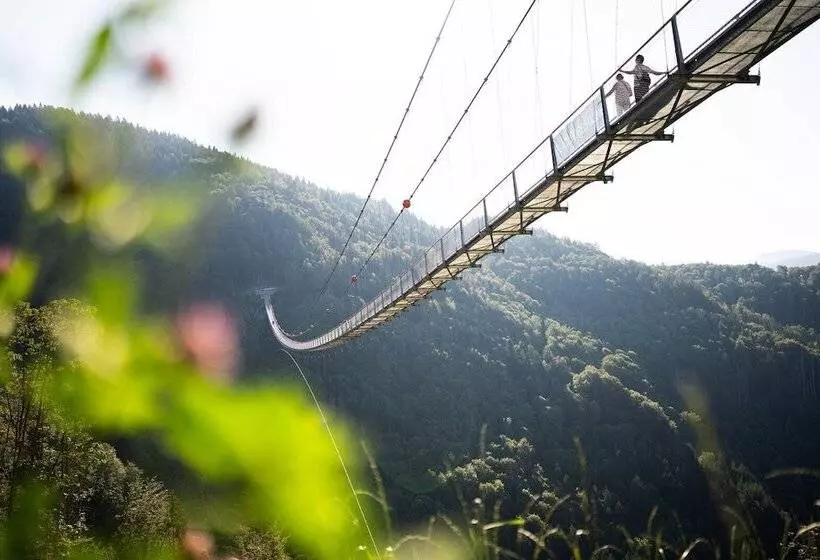 Black Forest Hotel Todtnau