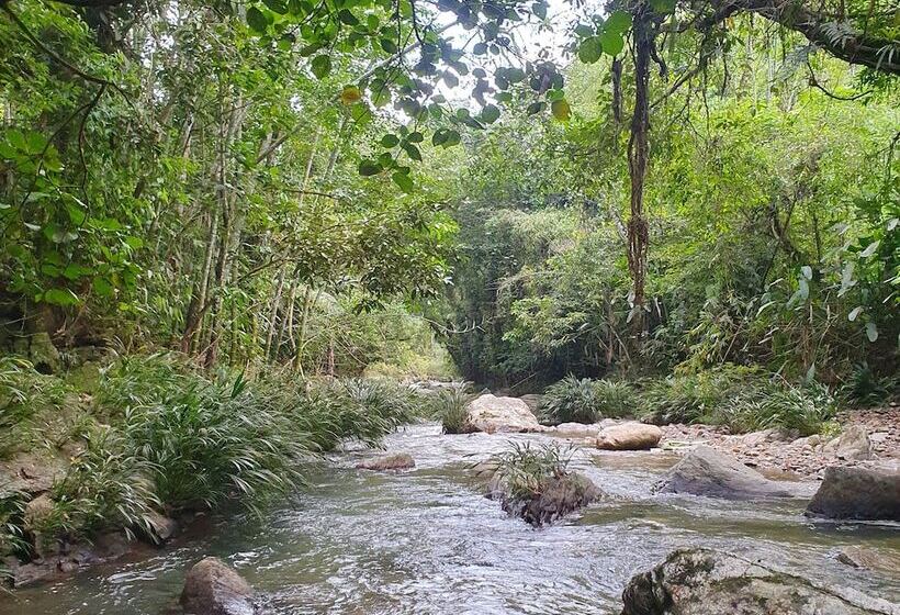 Hostel Mirador Amani