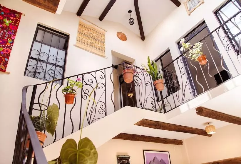 هاستل Casa San Cristóbal