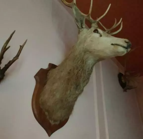 Aamiaismajoitus (B&B) Demeure En Seine   Gîtes Et Chambres D Hôte En Bord De Seine