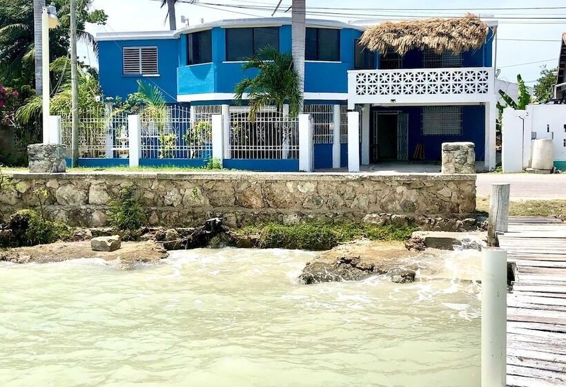 پانسیون Martin