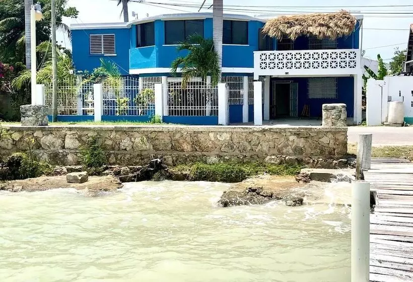 پانسیون Martin