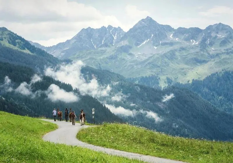 Falkensteiner Family Hotel Montafon   The Leading Hotels Of The World