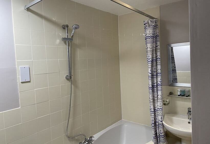 住宿加早餐  The Swan Inn