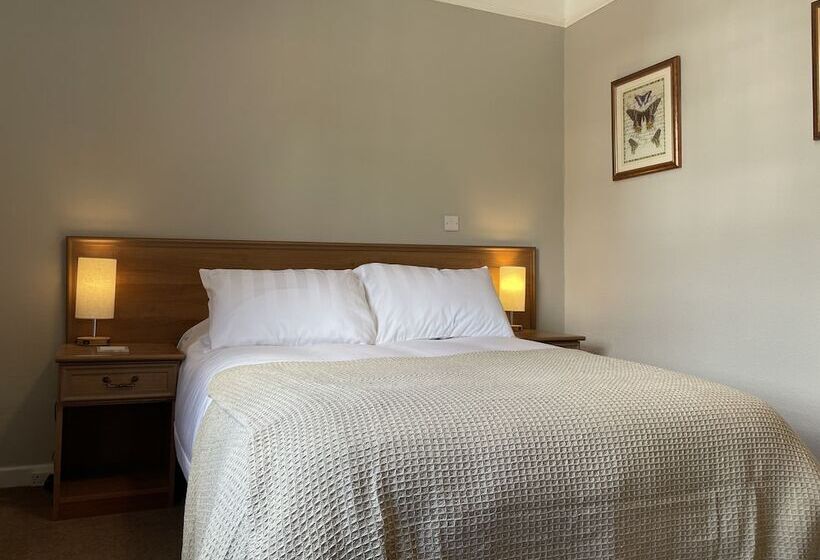 住宿加早餐  The Swan Inn