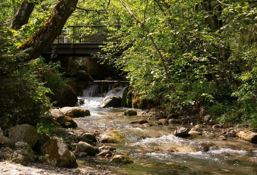 פנסיון Casa Cu Amintiri