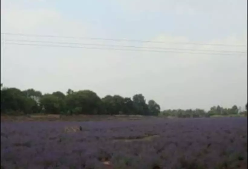 酒店 Ramada Kunming North