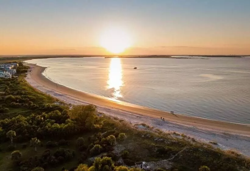 Captain Champs Castaway