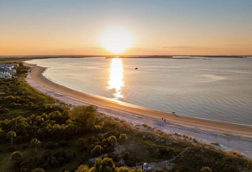 Captain Champs Castaway