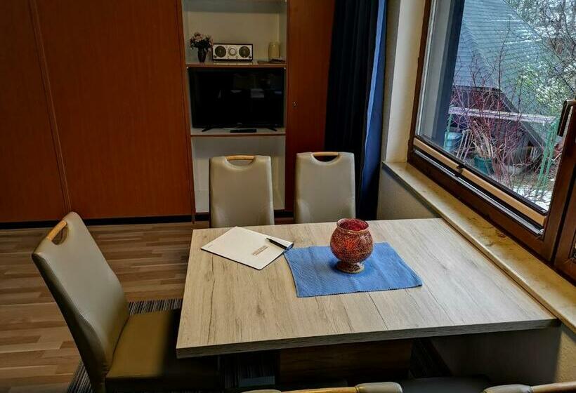 B1 Schwarzwald Fewo An Der Alb