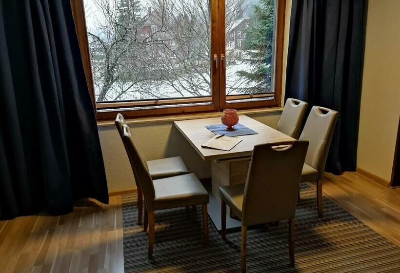 B1 Schwarzwald Fewo An Der Alb