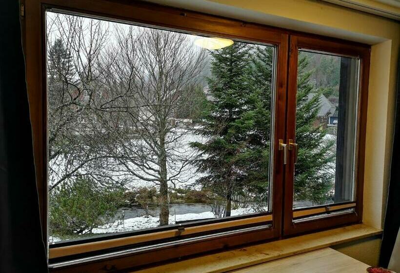 B1 Schwarzwald Fewo An Der Alb