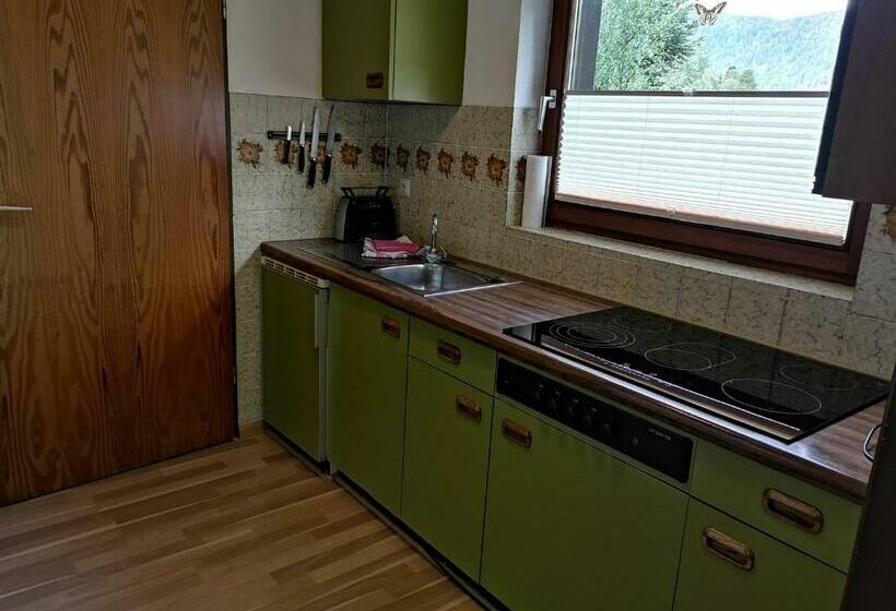 B1 Schwarzwald Fewo An Der Alb